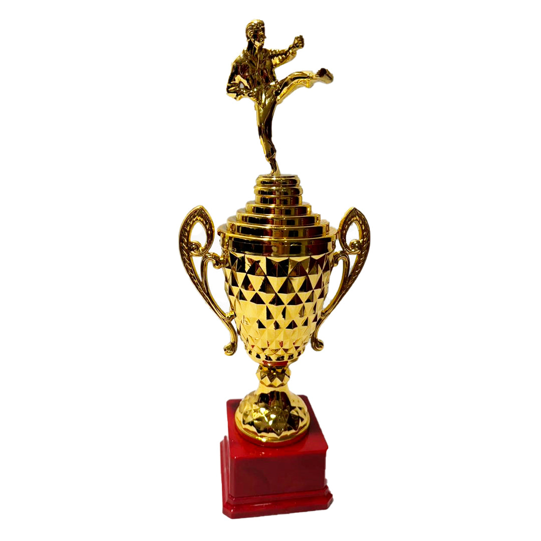 TROFEO DE KARATE, DE
