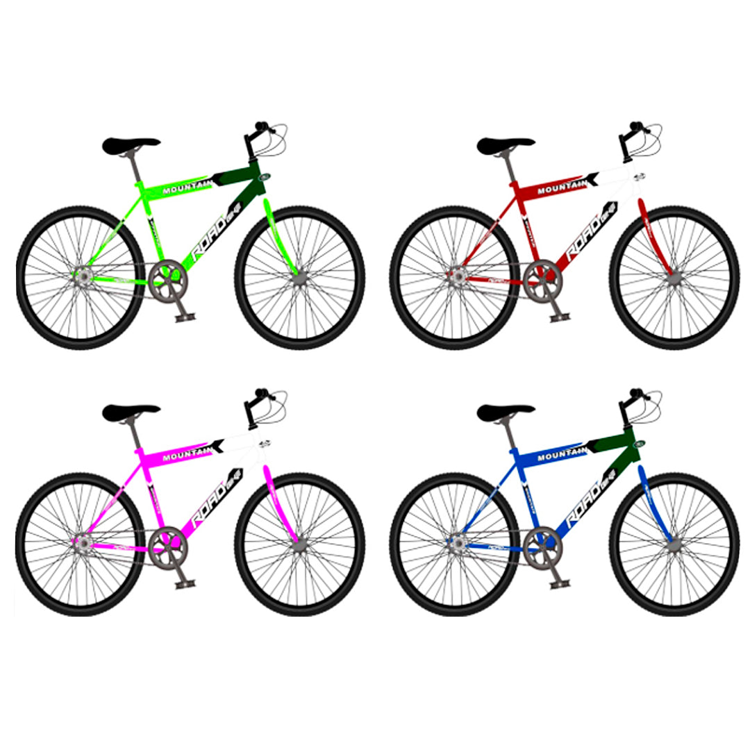 BICICLETA PL-24M06/1