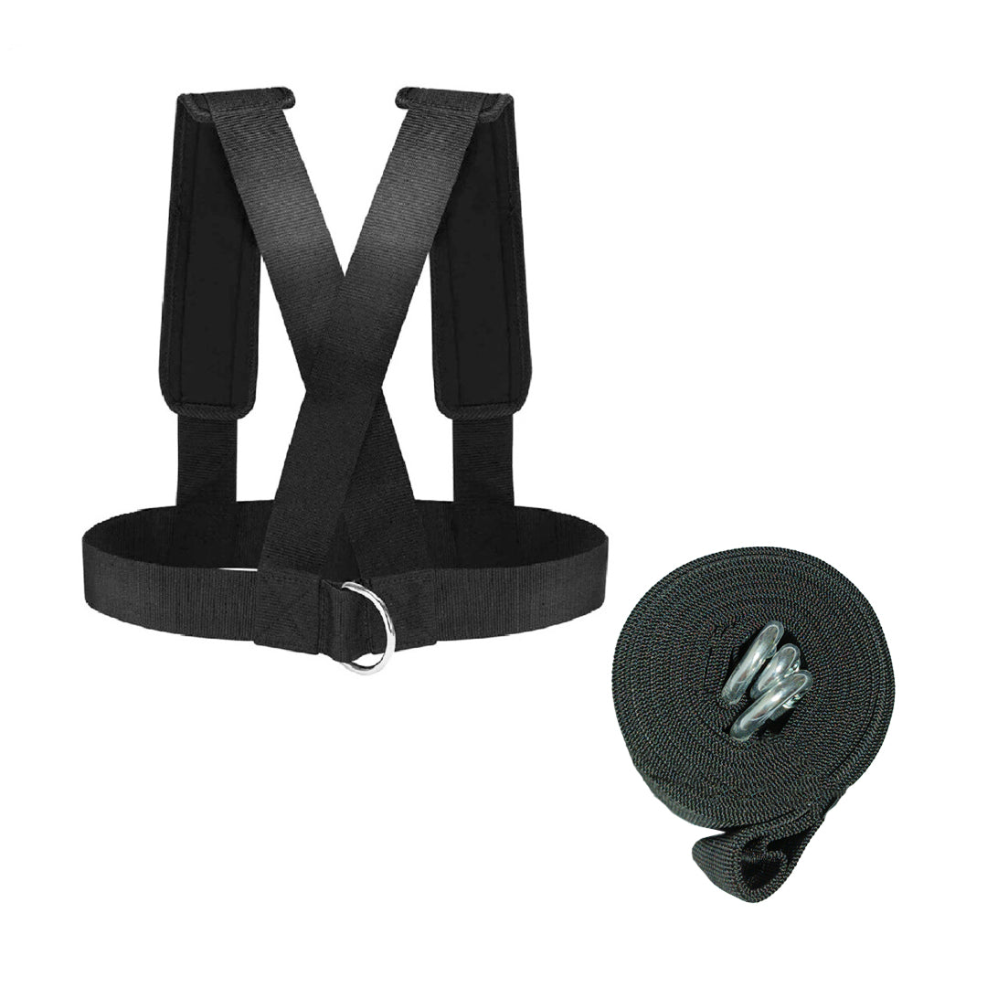 ARNES DE RESISTENCIA