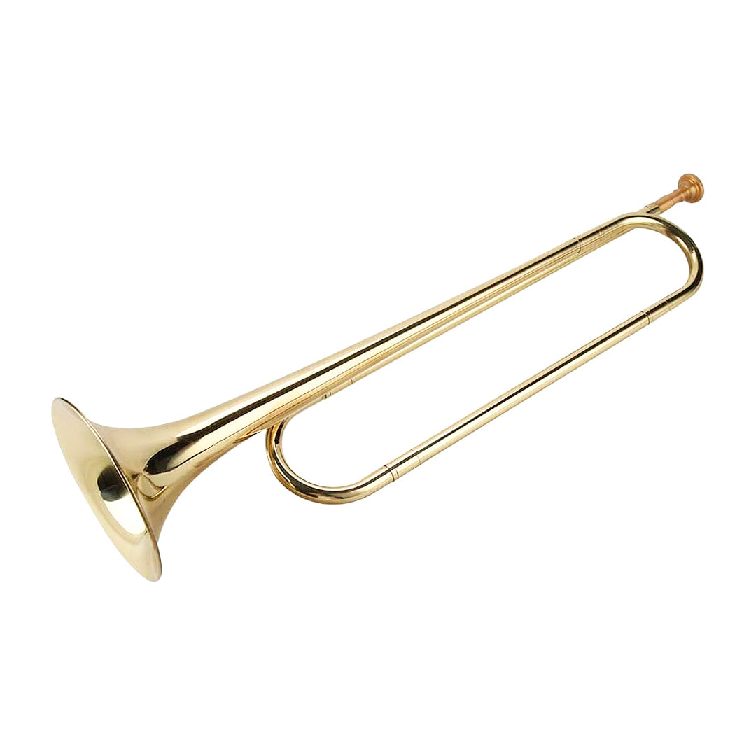 CLARIN DORADO 47*8CM