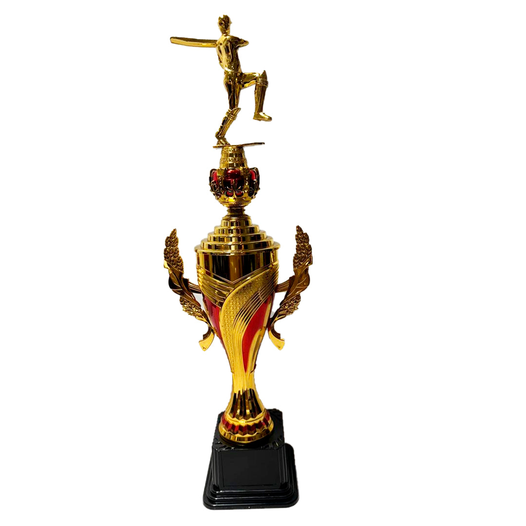 COPA TROFEO DE CRICK