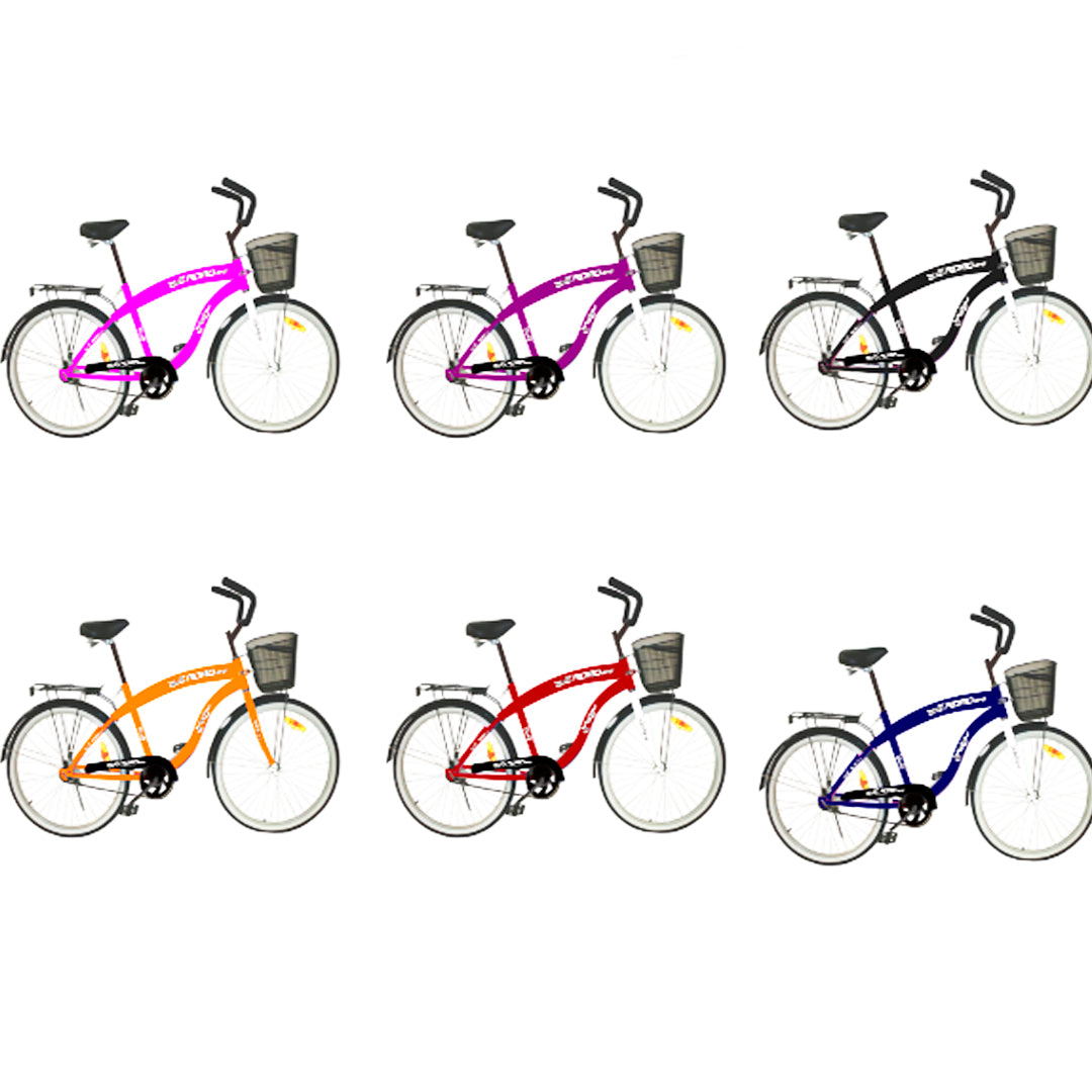 BICICLETA PL-2435 CA