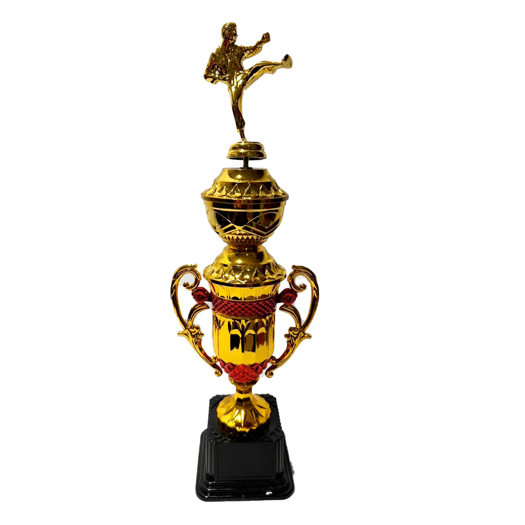 TROFEO DE KARATE 82C