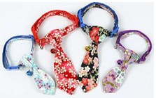 COLLAR DE CORBATA PE