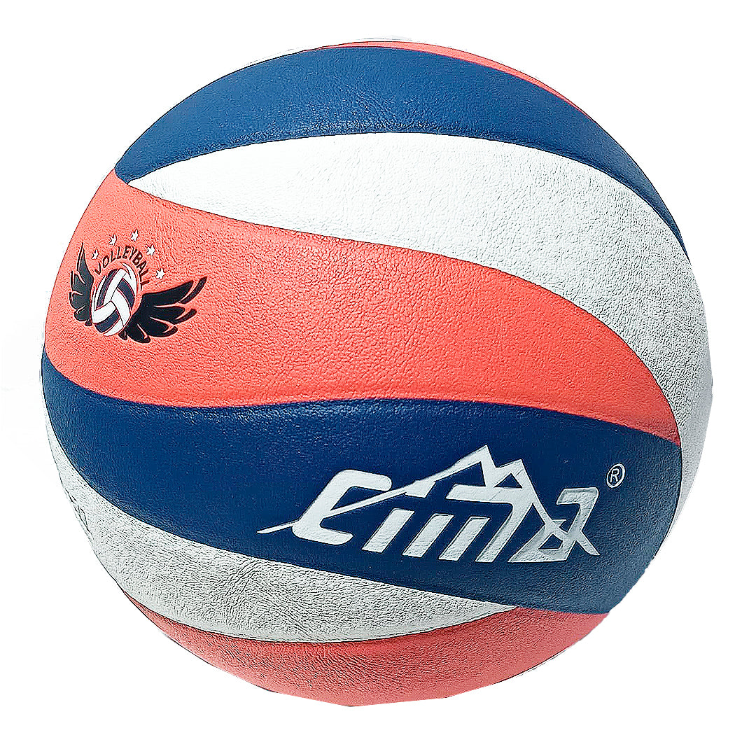 BALON DE VOLLEYBALL