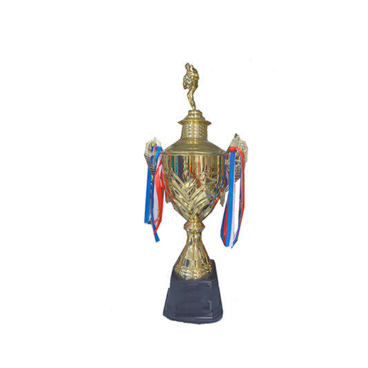 TROFEO DE KARATE 54C