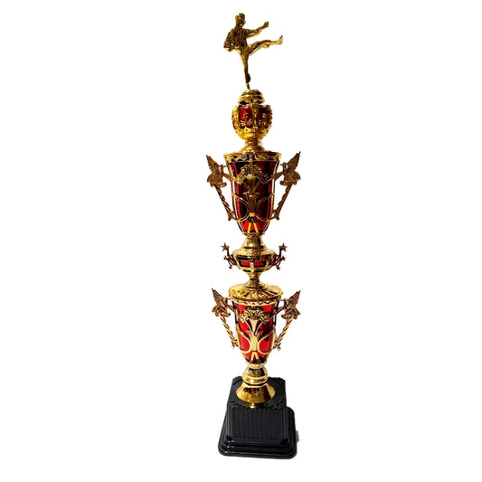 TROFEO DE KARATE