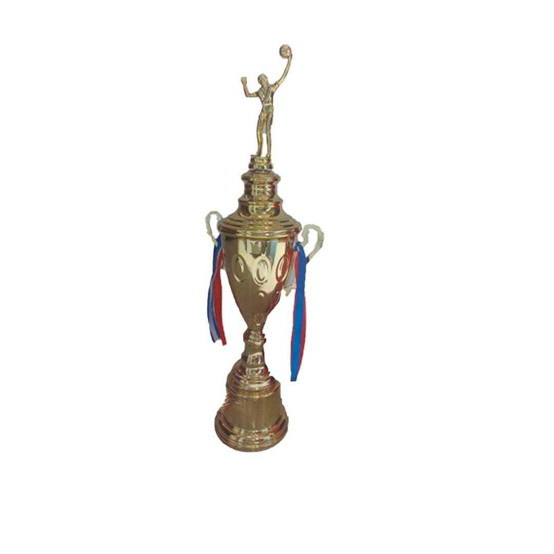 TROFEO DE VOLEIBOL