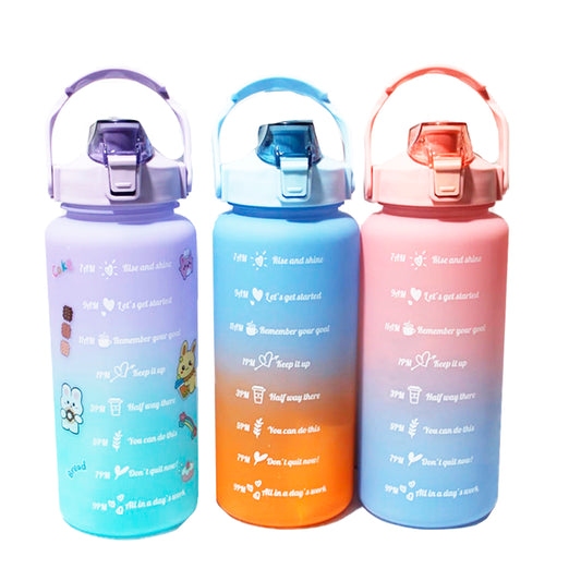 BOTELLA DE AGUA 2000