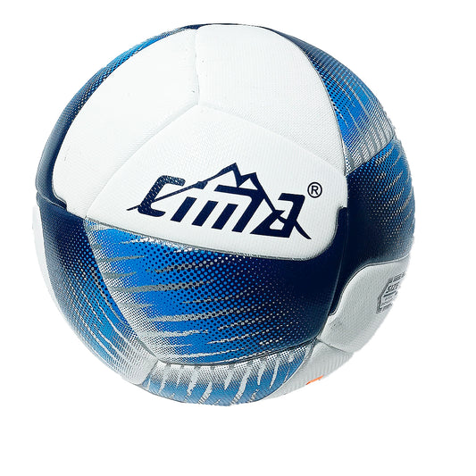 BALON DE ENTRENAMIEN