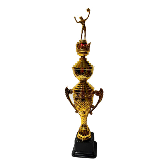 TROFEO DE VOLLEYBALL