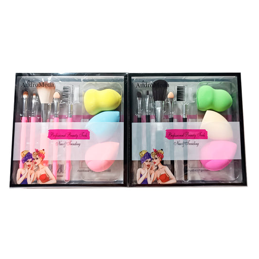 SET DE BROCHAS Y ESP