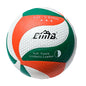 BALON DE VOLEIBOL DE