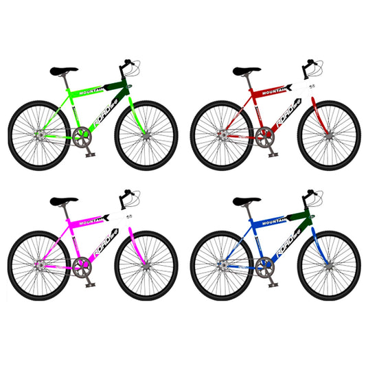 BICICLETA PL-24M06/1