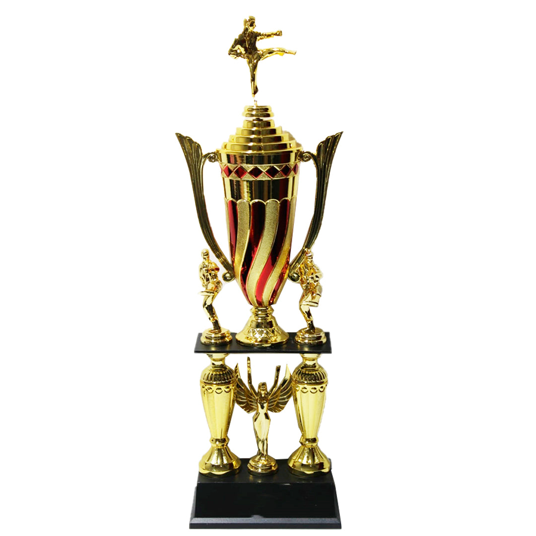 TROFEO DE KARATE 58C