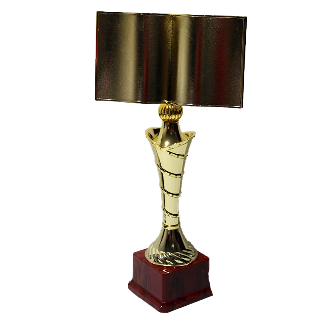 TROFEO DE LIBRO 39CM