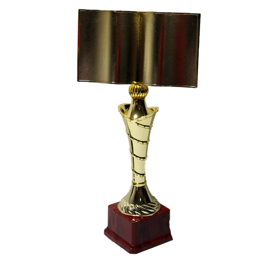 TROFEO DE LIBRO 39CM