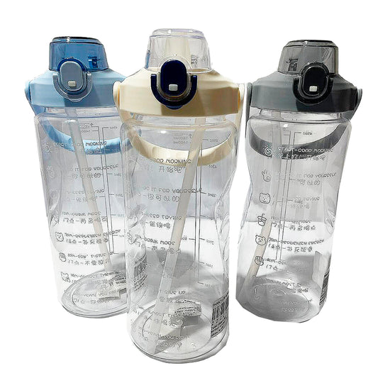 BOTELLA DE AGUA DE 2