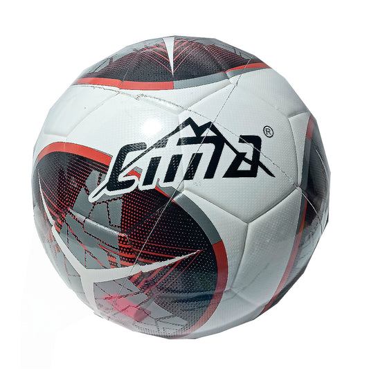 BALON DE ENTRENAMIEN