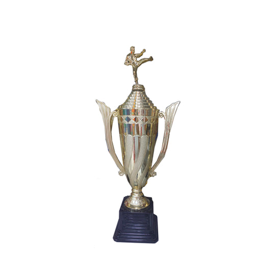 TROFEO DE KARATE DE