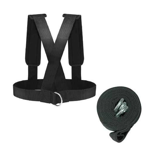 ARNES DE RESISTENCIA