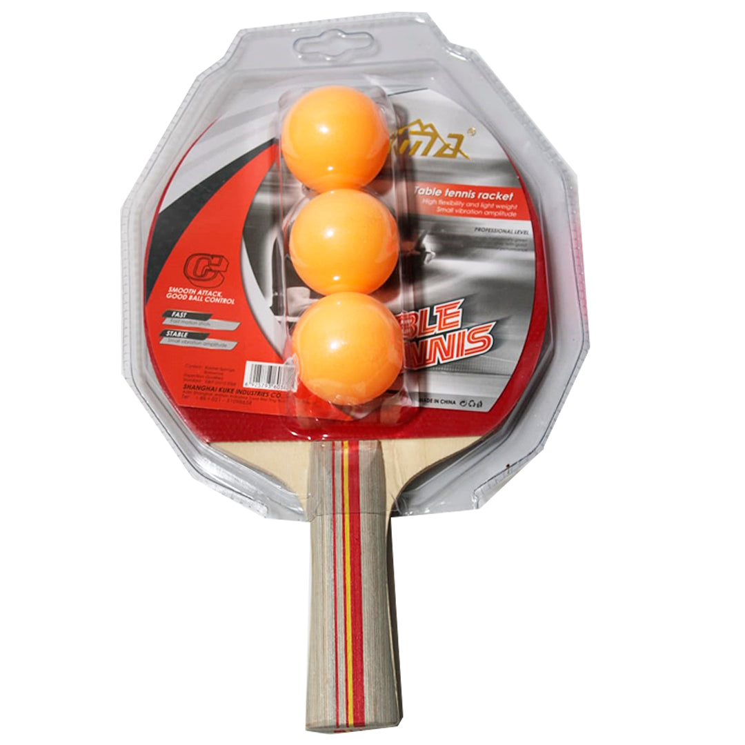 RAQUETA DE PING PONG