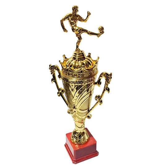TROFEO DE FUTBOL