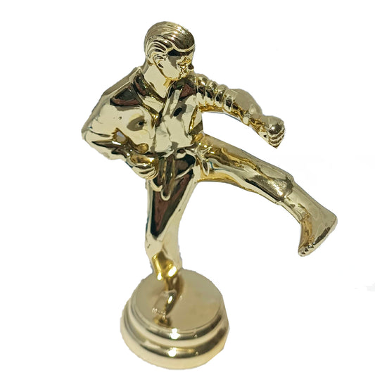 FIGURA DE KARATE 11.