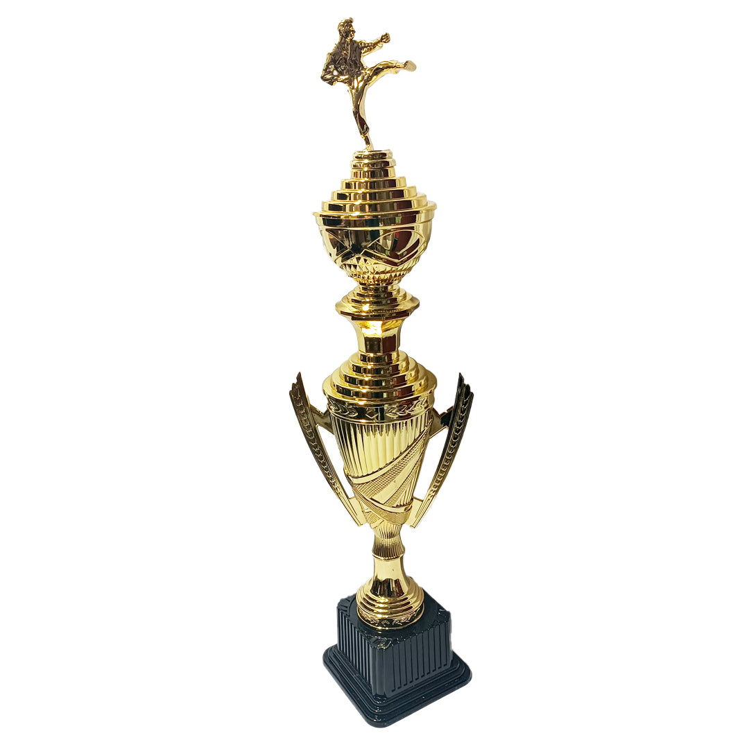 TROFEO DE KARATE