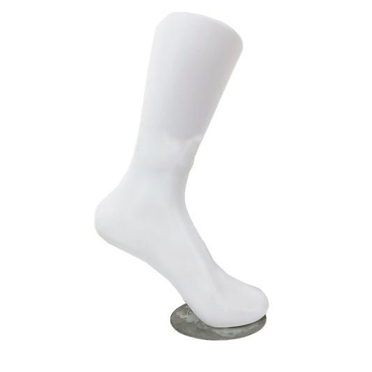 EXHIBIDOR DE MEDIA P