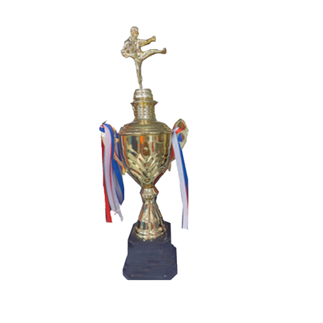 TROFEO DE KARATE 48C
