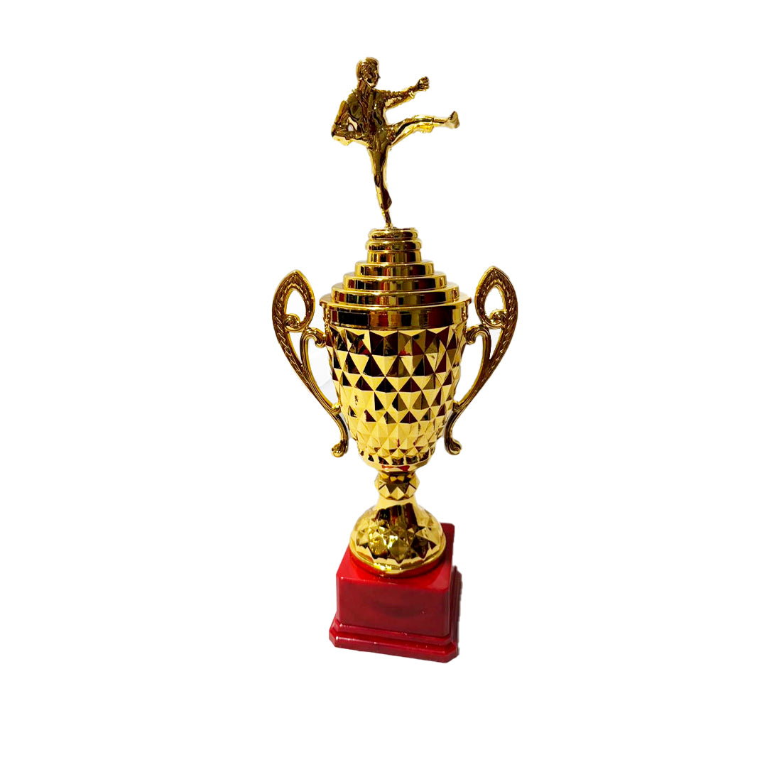 TROFEO DE KARATE, 40
