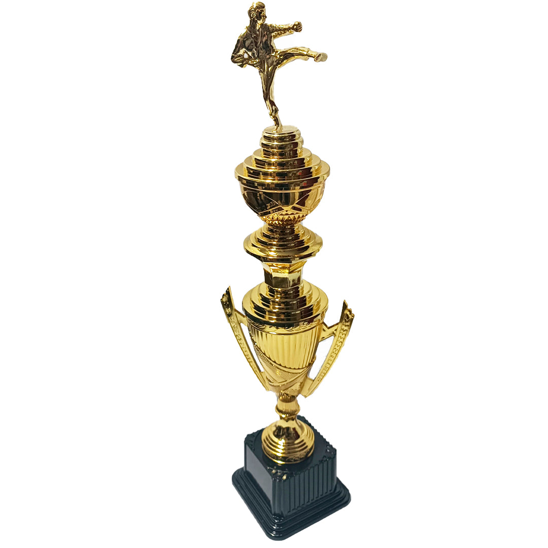 TROFEO DE KARATE