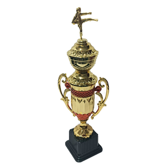 TROFEO DE KARATE 41C