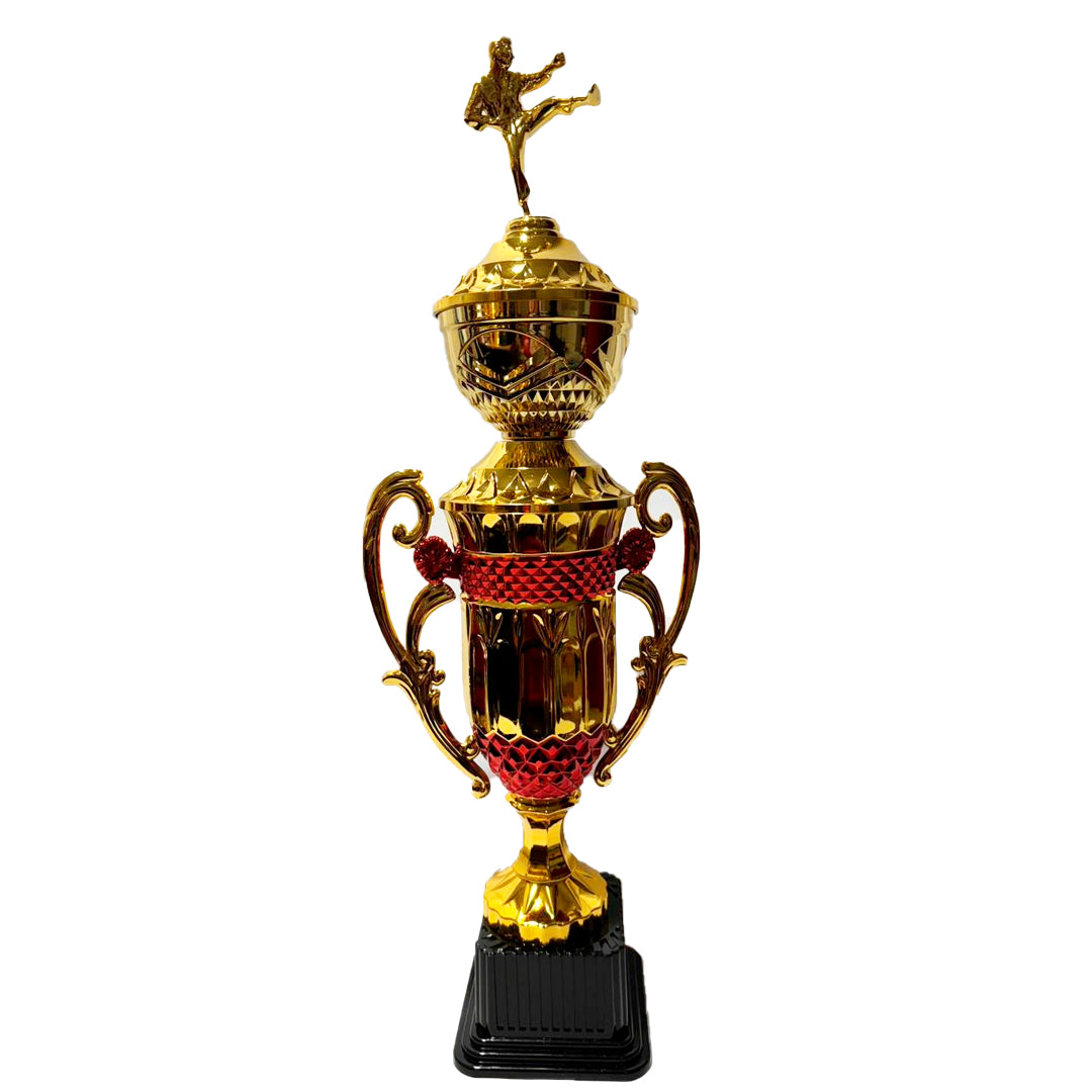 TROFEO DE KARATE