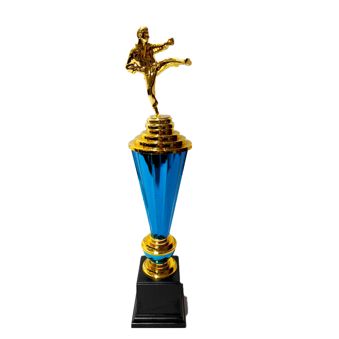TROFEO DE KARATE, 40