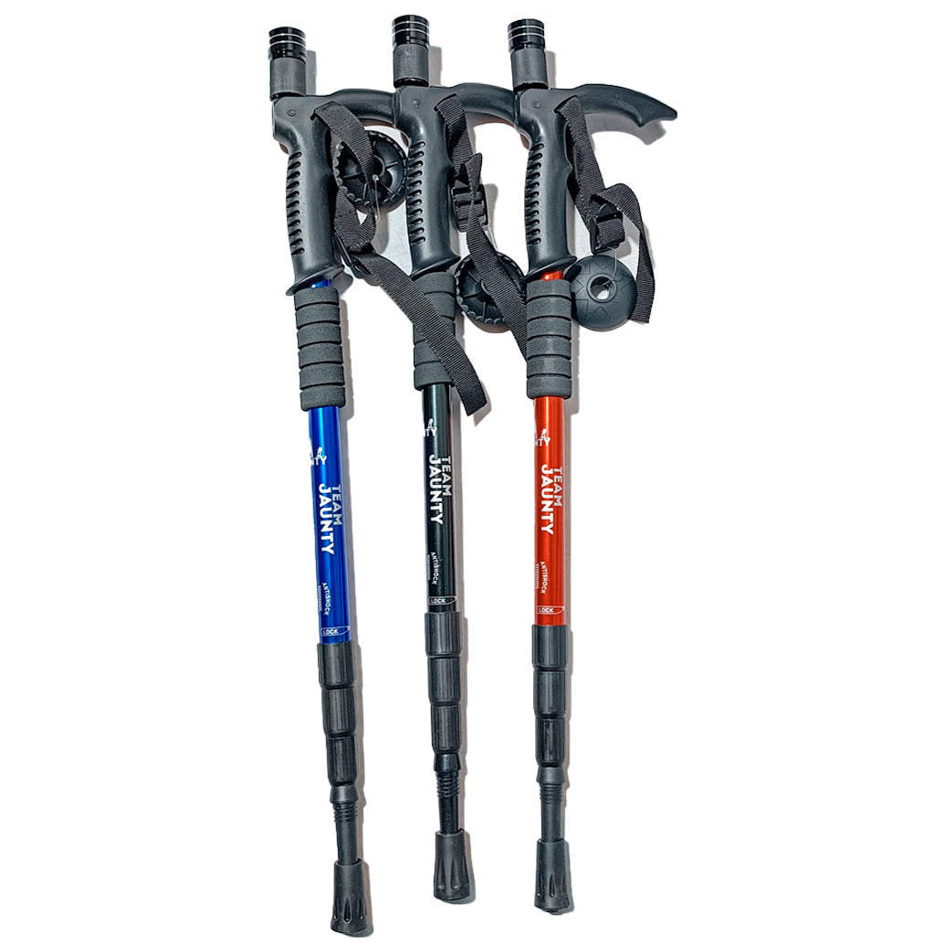 BASTON DE SENDERISMO